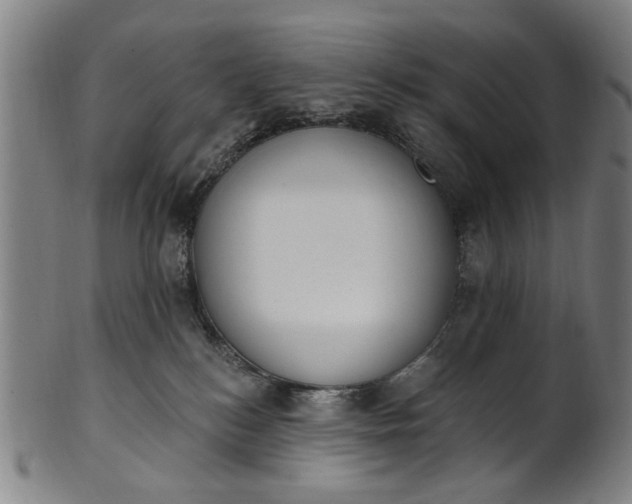 X0000101230184200807111129