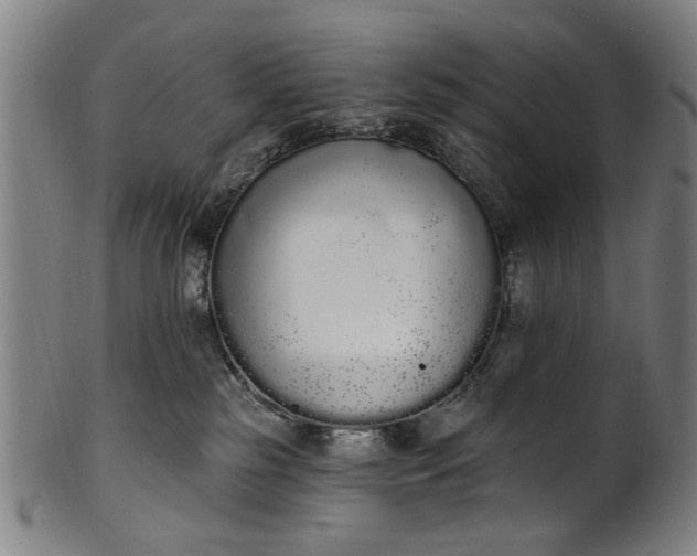 X0000101230185200807111129