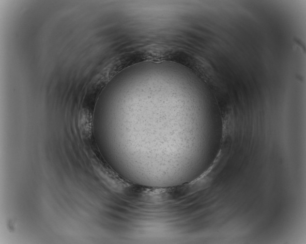 X0000101230186200807111129