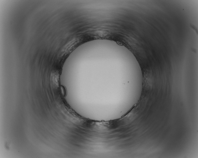 X0000101230188200807111129