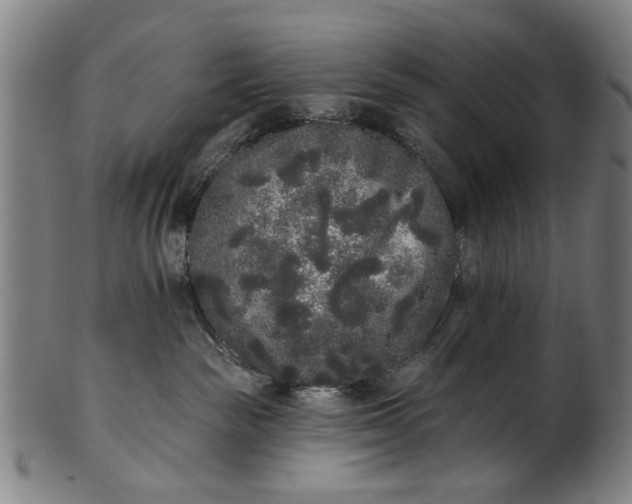 X0000101230189200807111129