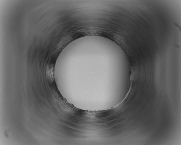 X0000101230190200807111129