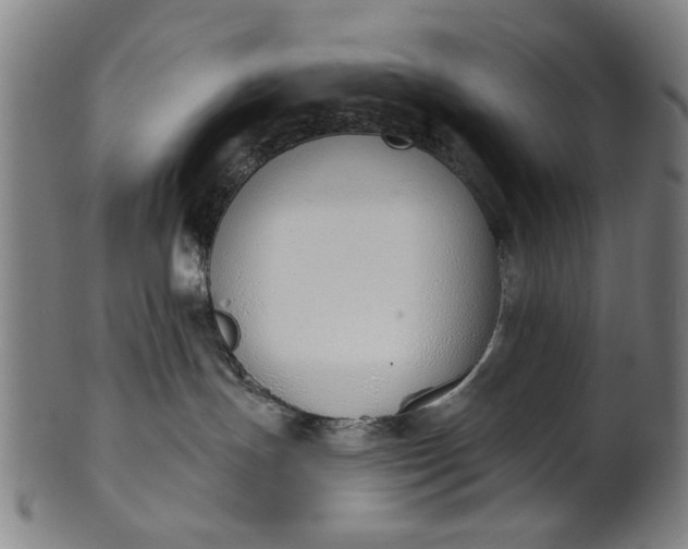 X0000101230191200807111129