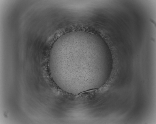 X0000101230192200807111129