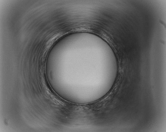 X0000101230193200807111128