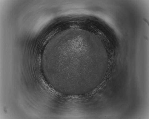 X0000101230194200807111128