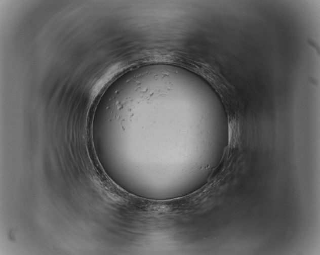 X0000101230195200807111128