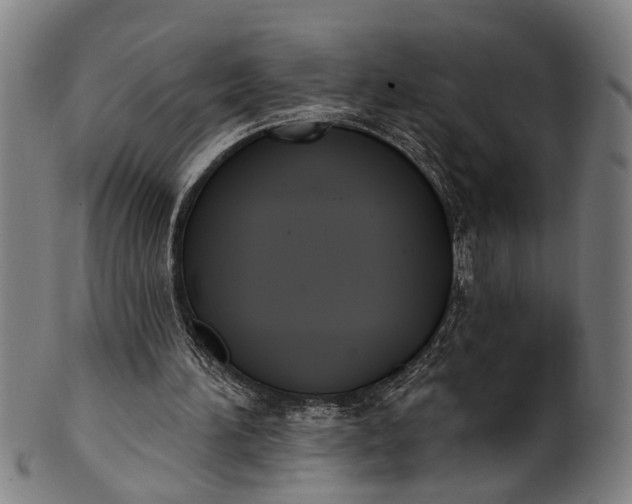 X0000101230196200807111128