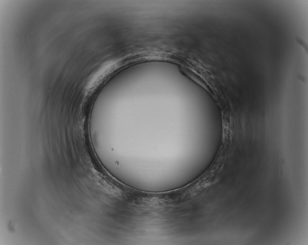 X0000101230197200807111128