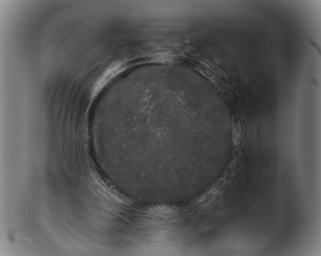 X0000101230198200807111128