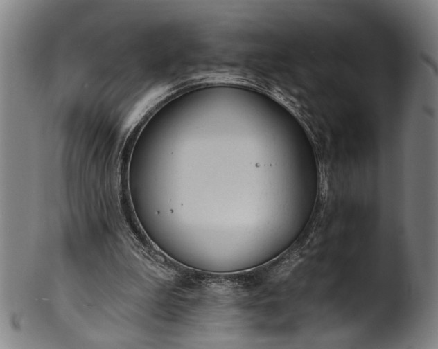 X0000101230199200807111128