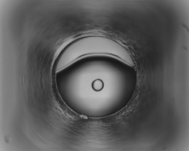 X0000101230200200807111128