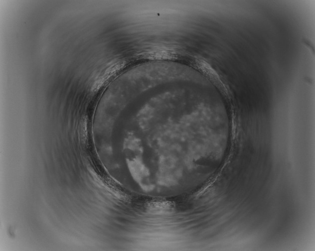 X0000101230202200807111128