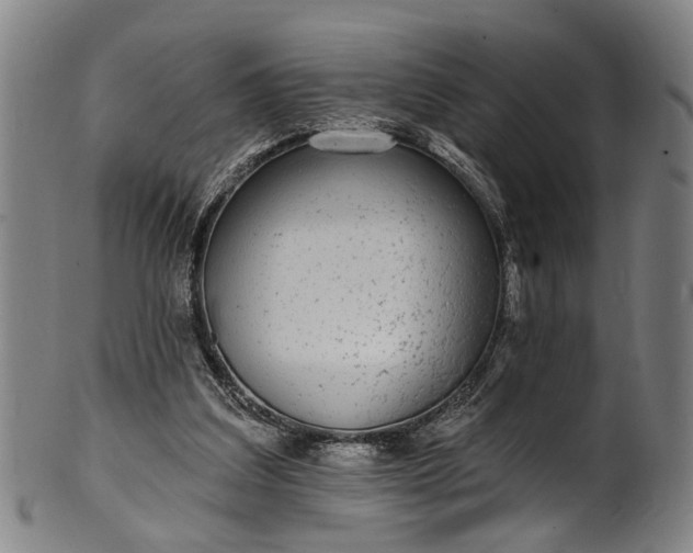 X0000101230203200807111128