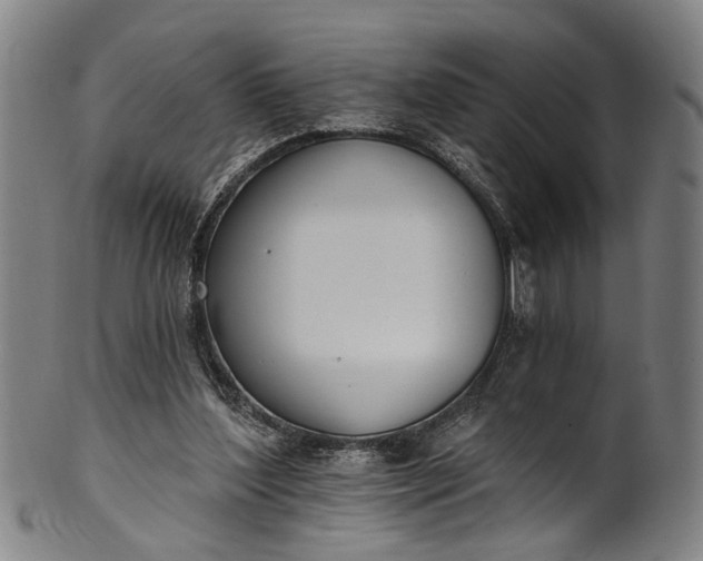 X0000101230204200807111128