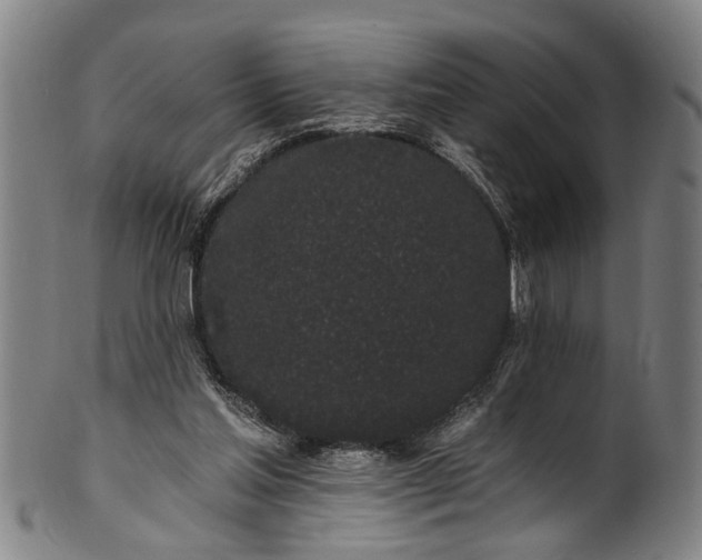 X0000101230205200807111128