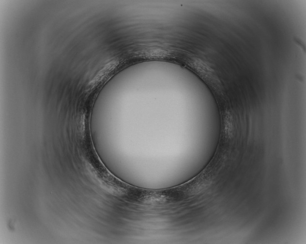 X0000101230206200807111128