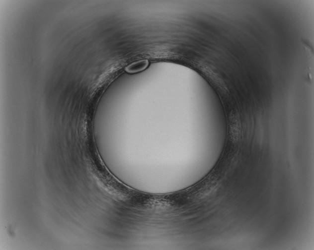 X0000101230207200807111128