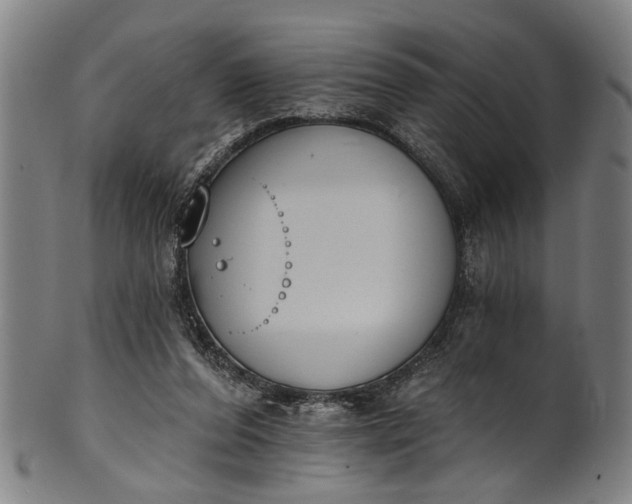 X0000101230208200807111128