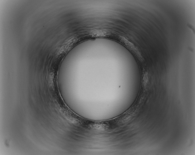 X0000101230209200807111128