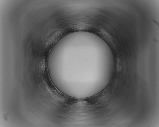 X0000101230210200807111128