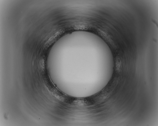 X0000101230211200807111128