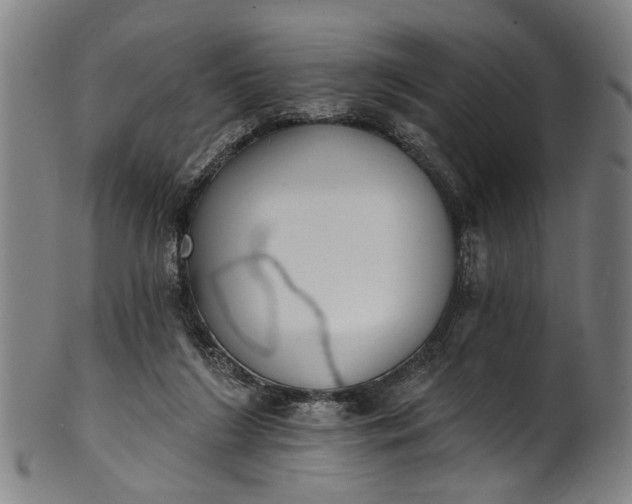 X0000101230212200807111128