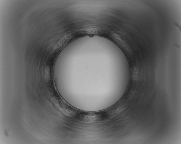 X0000101230213200807111128