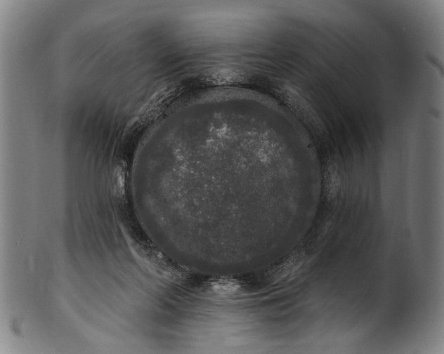 X0000101230214200807111128