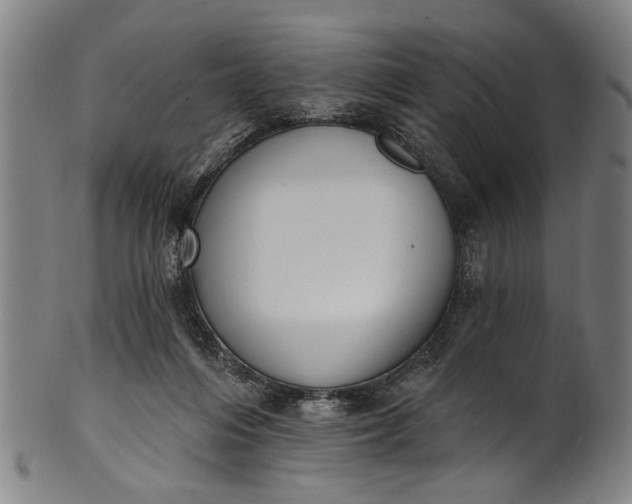 X0000101230216200807111128