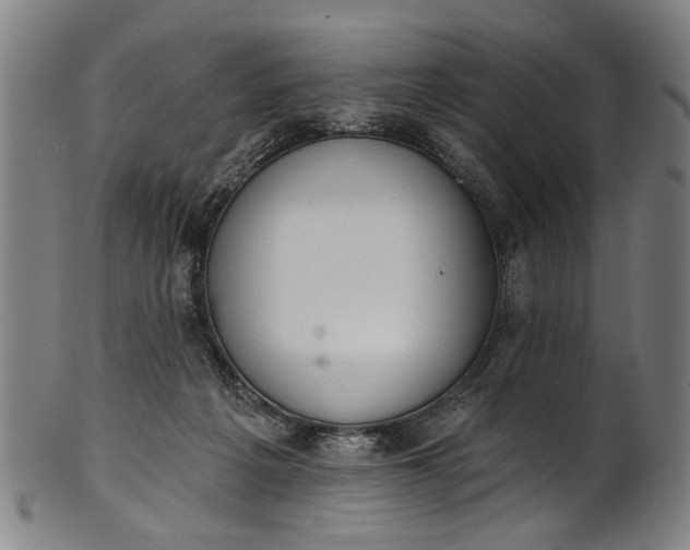 X0000101230217200807111128