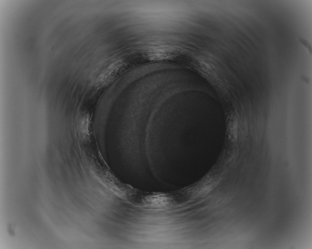 X0000101230219200807111128