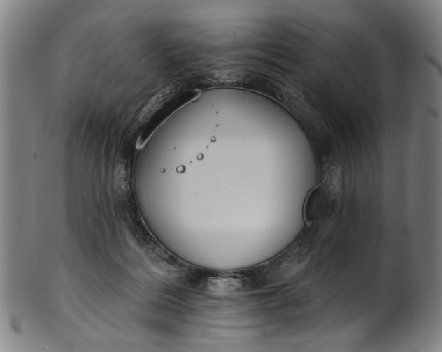 X0000101230220200807111128