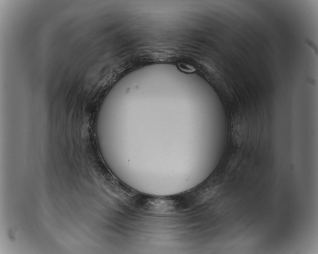 X0000101230221200807111128