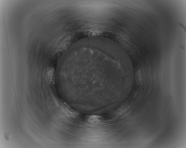 X0000101230222200807111128