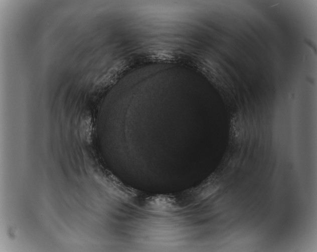 X0000101230223200807111128