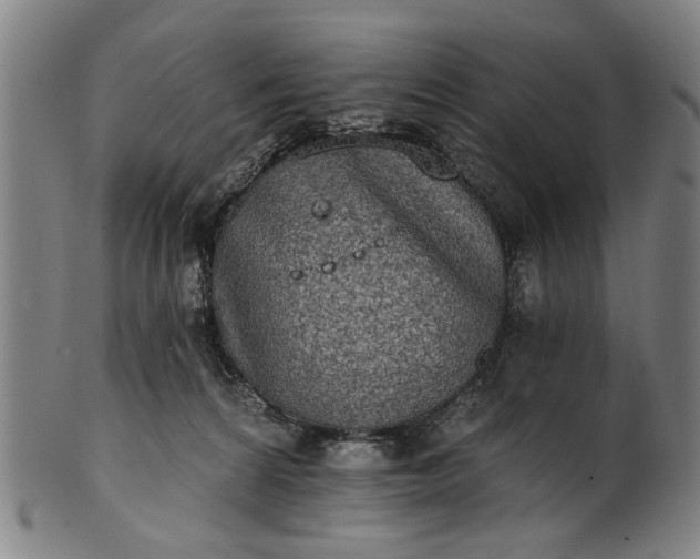 X0000101230224200807111128