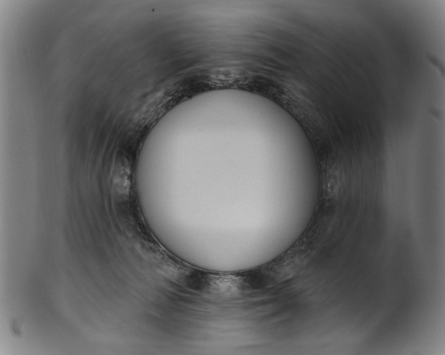 X0000101230226200807111128