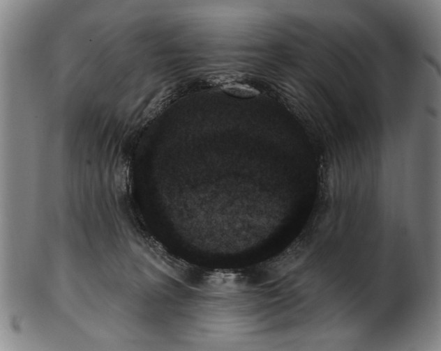 X0000101230227200807111128