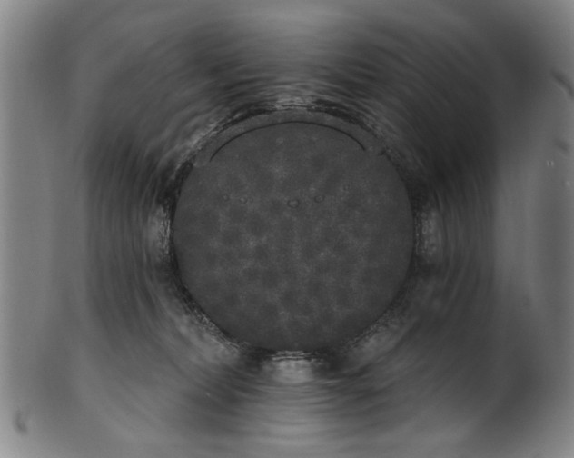 X0000101230228200807111128