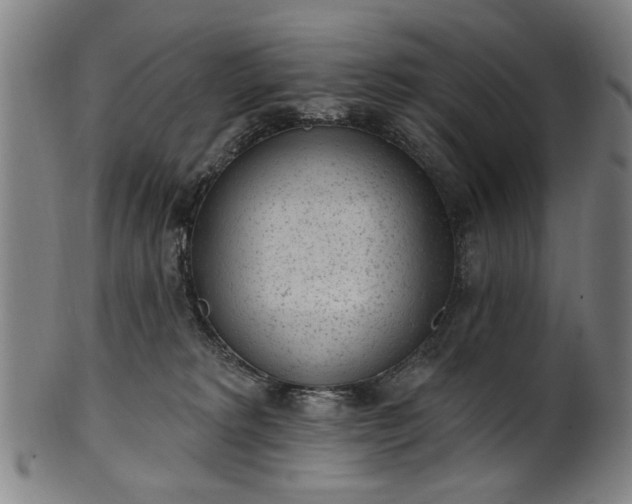 X0000101230229200807111128