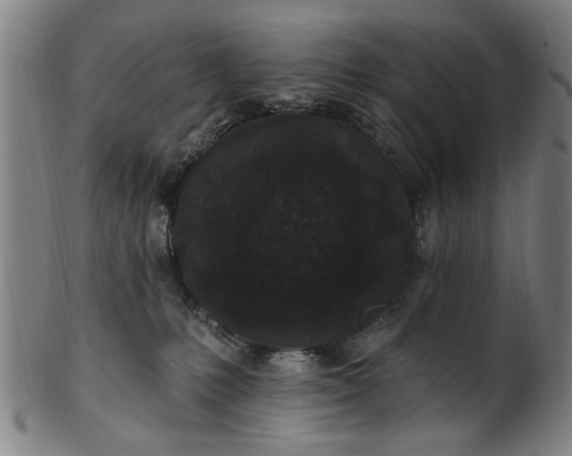 X0000101230231200807111128