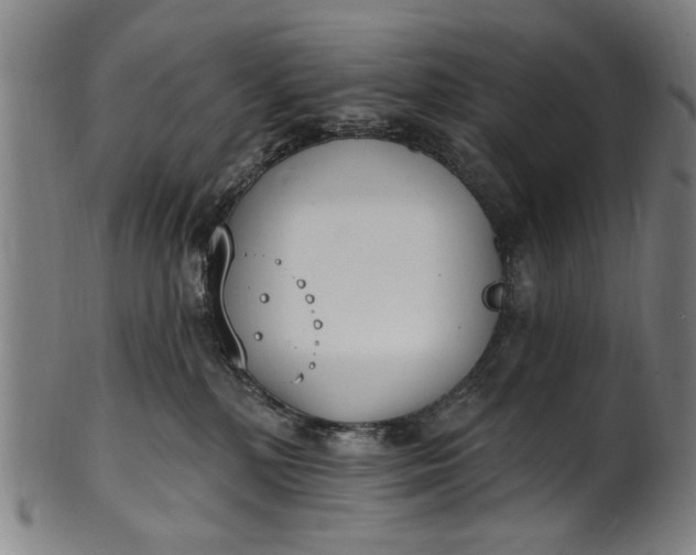 X0000101230232200807111128