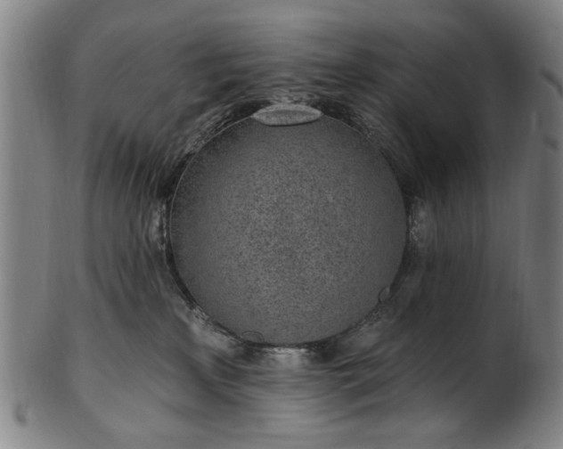 X0000101230233200807111128