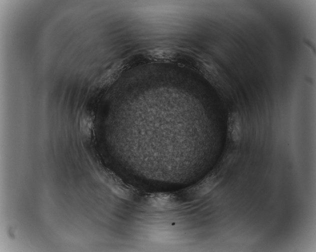 X0000101230235200807111128