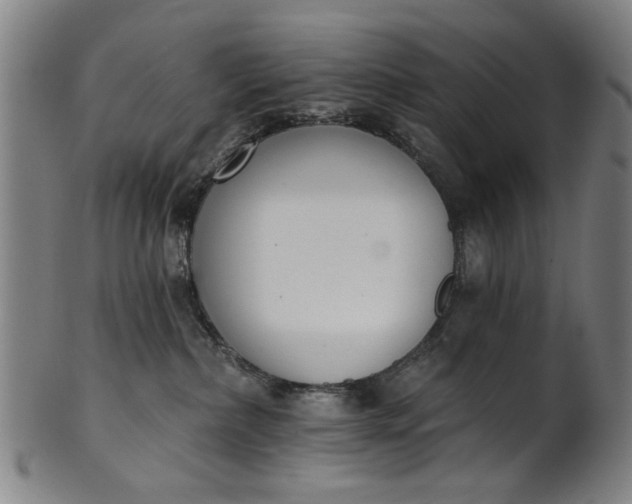 X0000101230236200807111128