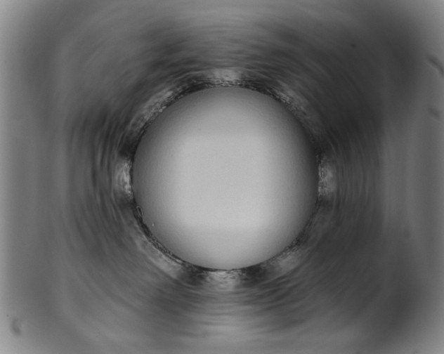 X0000101230238200807111128