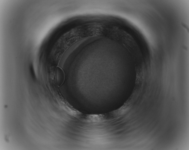 X0000101230239200807111128