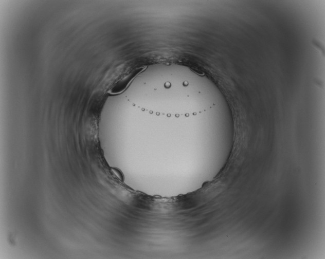 X0000101230240200807111128