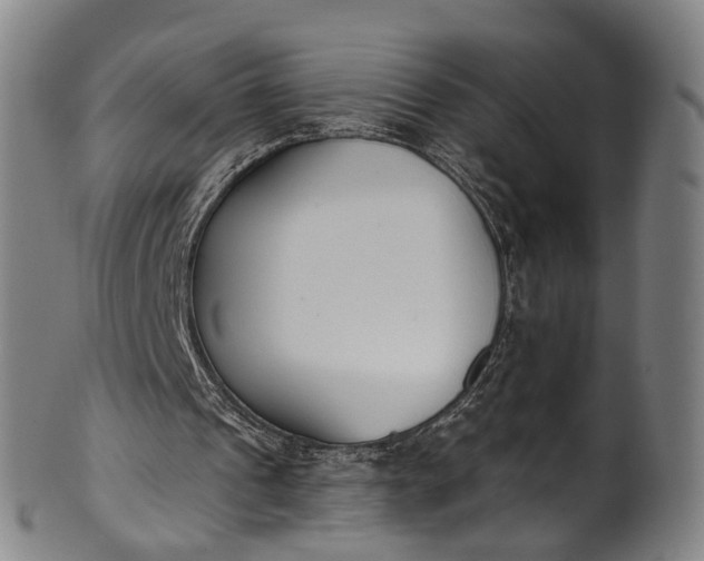 X0000101230241200807111127